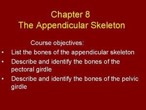 Chapter 8 The Appendicular Skeleton Course objectives List