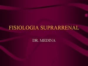 FISIOLOGIA SUPRARRENAL DR MEDINA Anatoma de la glndulas