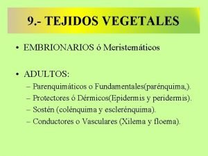 9 TEJIDOS VEGETALES EMBRIONARIOS Meristemticos ADULTOS Parenquimticos o