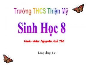 Giao vien Nguyen Anh Th Lp day 8