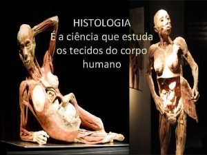 HISTOLOGIA a cincia que estuda os tecidos do