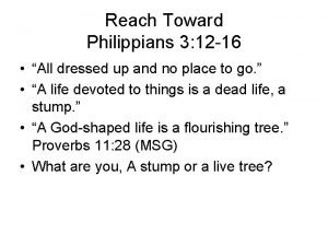 Reach Toward Philippians 3 12 16 All dressed