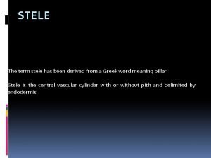 Types of protostele