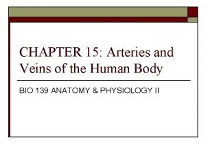 CHAPTER 15 Arteries and Veins of the Human