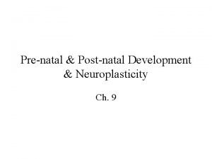 Prenatal Postnatal Development Neuroplasticity Ch 9 Outline Induction