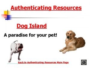 Authenticating Resources Dog Island A paradise for your