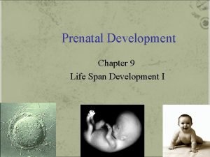 Prenatal Development Chapter 9 Life Span Development I