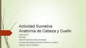 Actividad Sumativa Anatoma de Cabeza y Cuello Sylvia