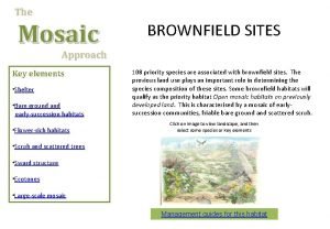 The Mosaic BROWNFIELD SITES Approach Key elements Shelter
