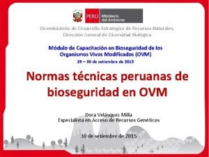 Viceministerio de Desarrollo Estratgico de Recursos Naturales Direccin