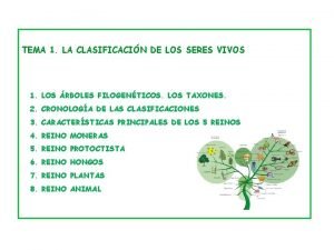 Algas unicelulares ejemplos