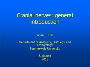 Cranial nerves general introduction Anna L Kiss Department