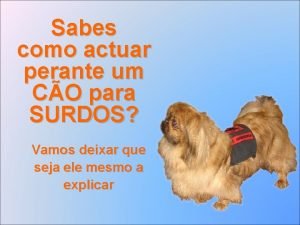 Sabes como actuar perante um CO para SURDOS