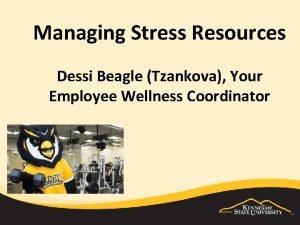 Managing Stress Resources Dessi Beagle Tzankova Your Employee