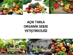 AIK TARLA ORGANK SEBZE YETTRCL ORGANK SEBZE YETTRCLNN