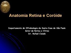 Anatomia Retina e Coride Departamento de Oftalmologia da