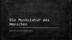 Die Muskulatur des Menschen Referat von Patrick Dembowski