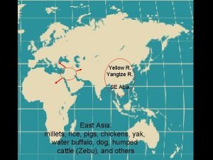 Yangtze r Yangtze r