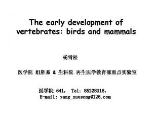 Early development in birds