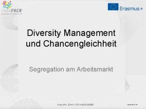 Diversity Management und Chancengleichheit Segregation am Arbeitsmarkt Project