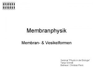 Membranphysik Membran Vesikelformen Seminar Physik in der Biologie