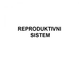 Muski reproduktivni sistem