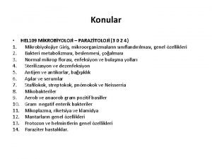 Sferoplast protoplast