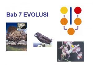Bab 7 EVOLUSI Bab 7 Evolusi ASAL USUL