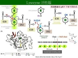 Lysozyme Nacetylglucosamine NAG E O D Nacetylmuramic acid