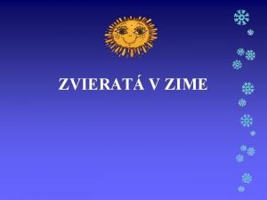 ZVIERAT V ZIME ZVIERAT V ZIME VEVERICA JE