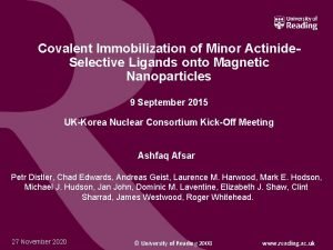 Covalent Immobilization of Minor Actinide Selective Ligands onto