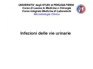 UNIVERSITA degli STUDI di PERUGIATERNI Corso di Laurea