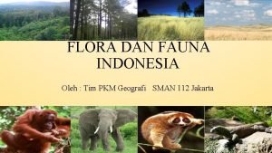 FLORA DAN FAUNA INDONESIA Oleh Tim PKM Geografi