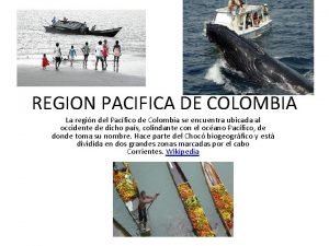 REGION PACIFICA DE COLOMBIA La regin del Pacfico