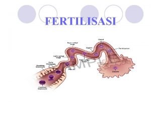 FERTILISASI Merupakan suatu proses esensial yang terdiri dari