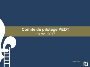 Comit de pilotage PEDT 18 mai 2017 COPIL