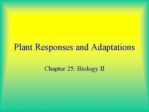 Chapter 25 plant responses and adaptations