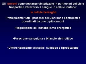 Gli ormoni sono sostanze sintetizzate in particolari cellule