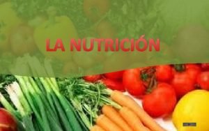 Nutricin