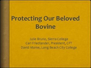 Protecting Our Beloved Bovine Julie Bruno Sierra College