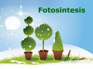 Photosynthesis powerpoint template Photosynthesis powerpoint template