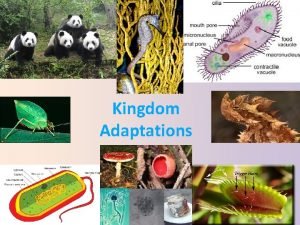 Kingdom Adaptations Adaptations An adaptation is any inherited