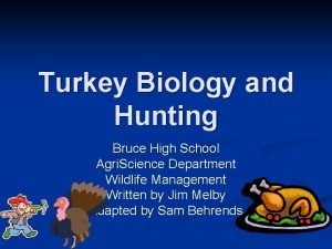 Turkey Biology and Hunting Bruce High School Agri