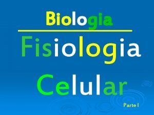 Biologia Fisiologia Celular Parte I Fotossntese A fotossntese