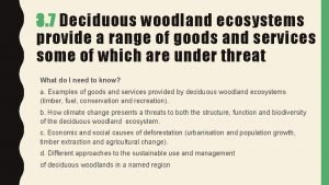 Deciduous woodland ecosystem