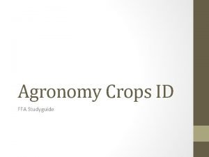 Agronomy Crops ID FFA Studyguide Alfalfa Plant Seed