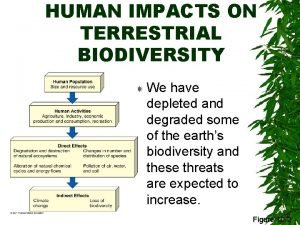 Impacts of wildlife trade on terrestrial biodiversity
