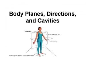 Body planes directions and cavities Body planes directions and cavities