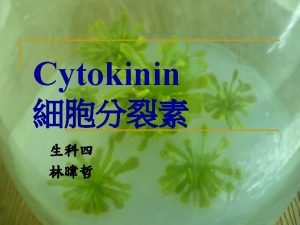 Cytokinins n Cell division n Delay leaf senescence