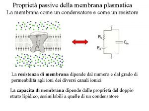 Resistenza di membrana